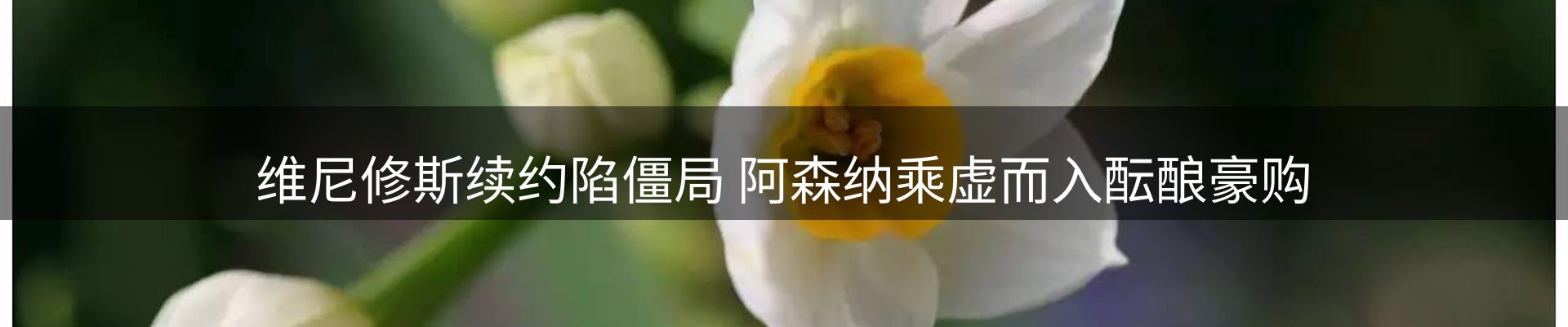资讯动态